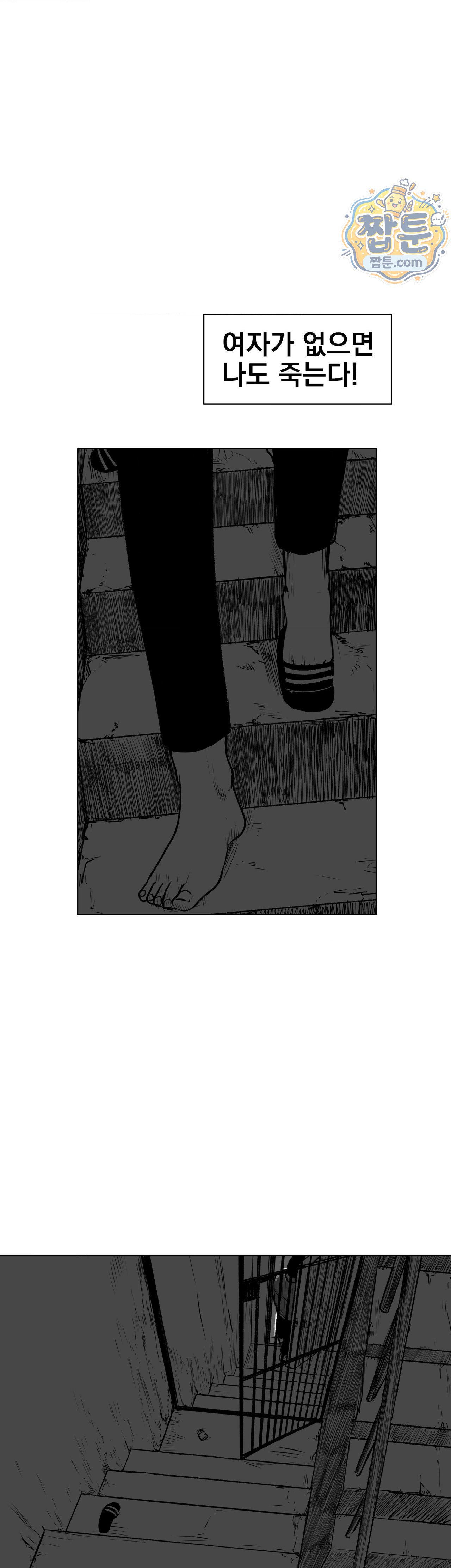 008.jpg