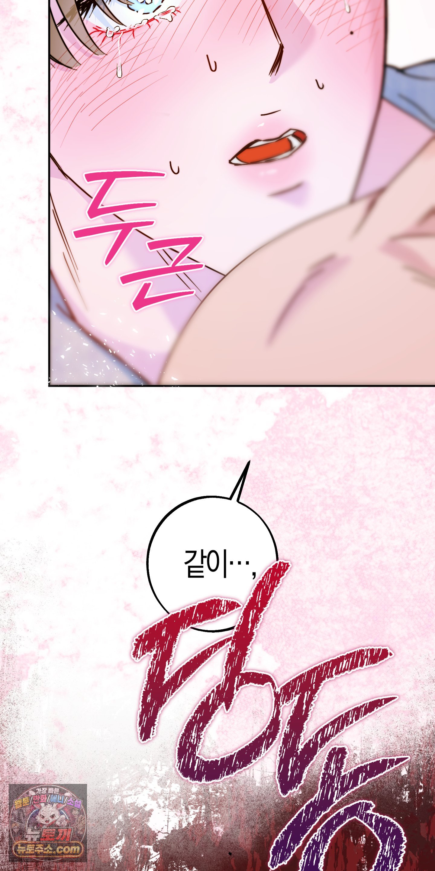 003.jpg