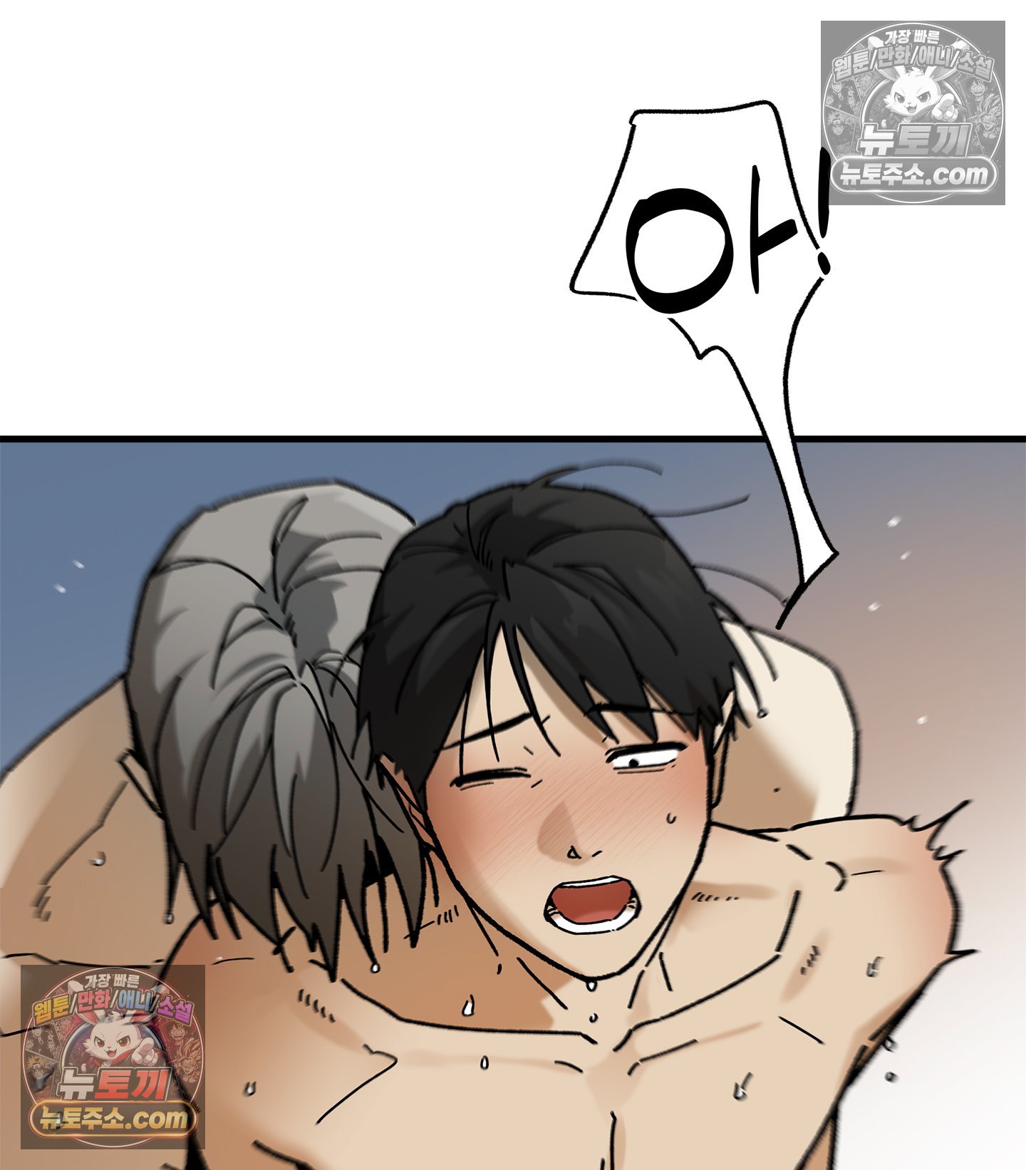 003.jpg