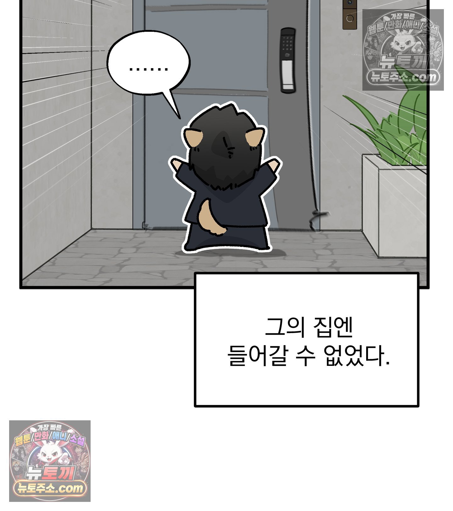 010.jpg