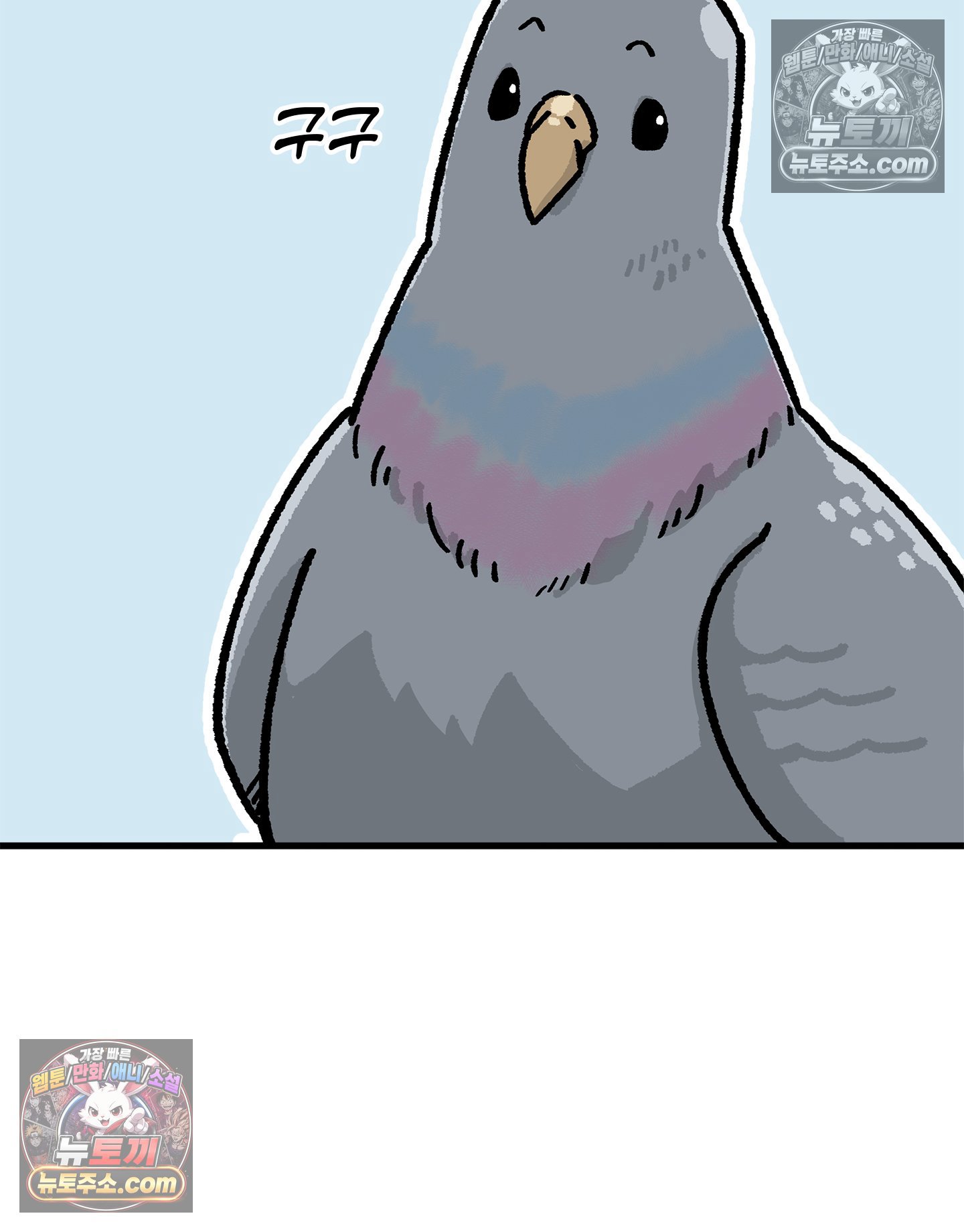 005.jpg