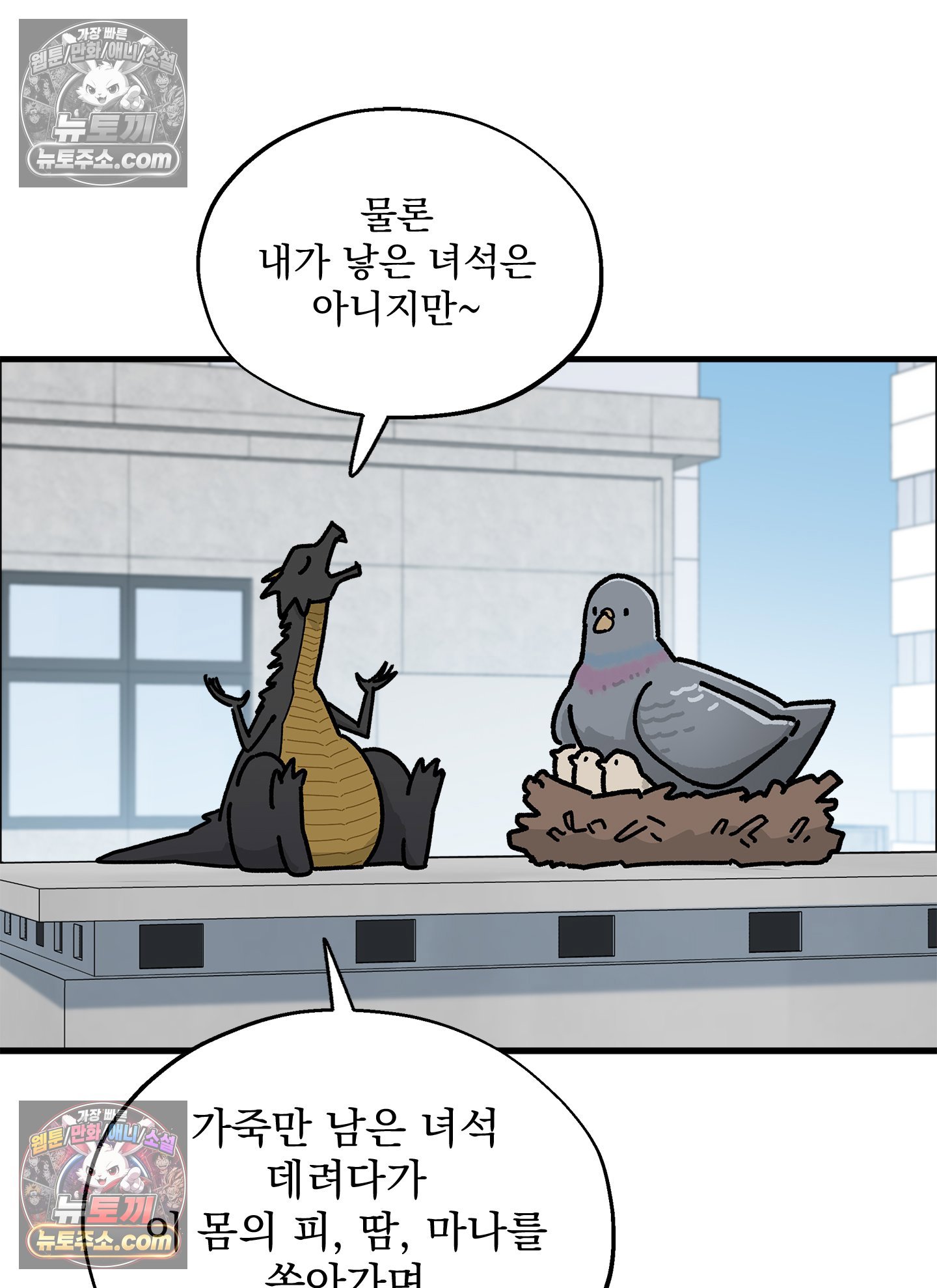 009.jpg