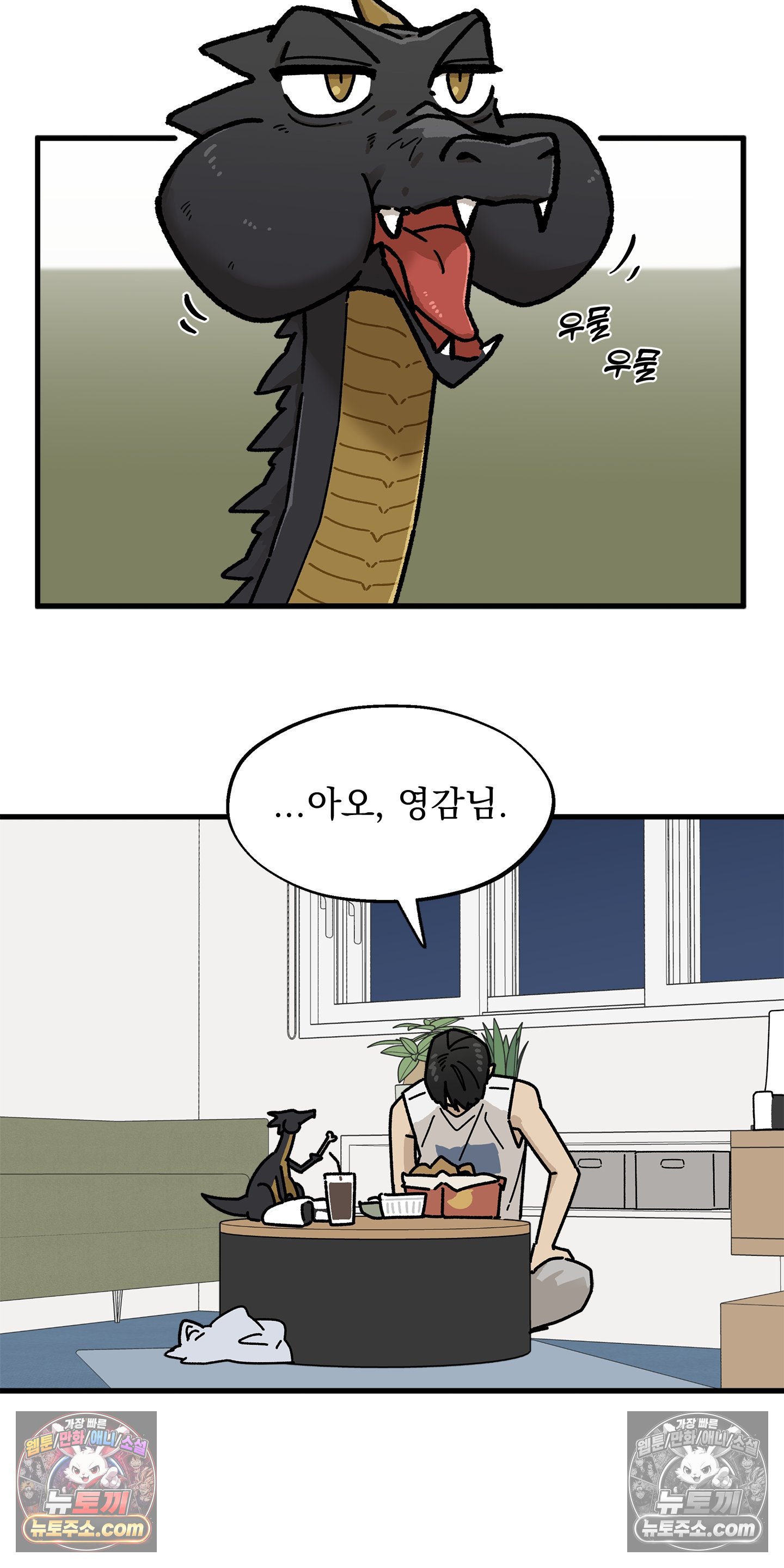006.jpg