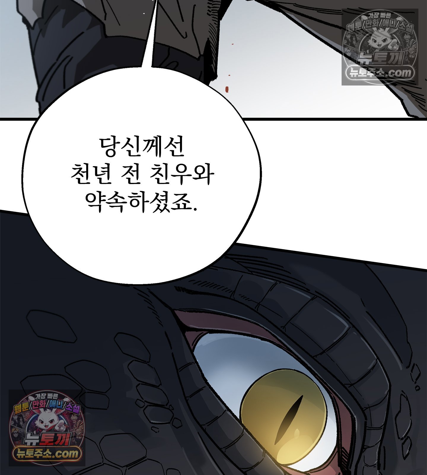 113.jpg