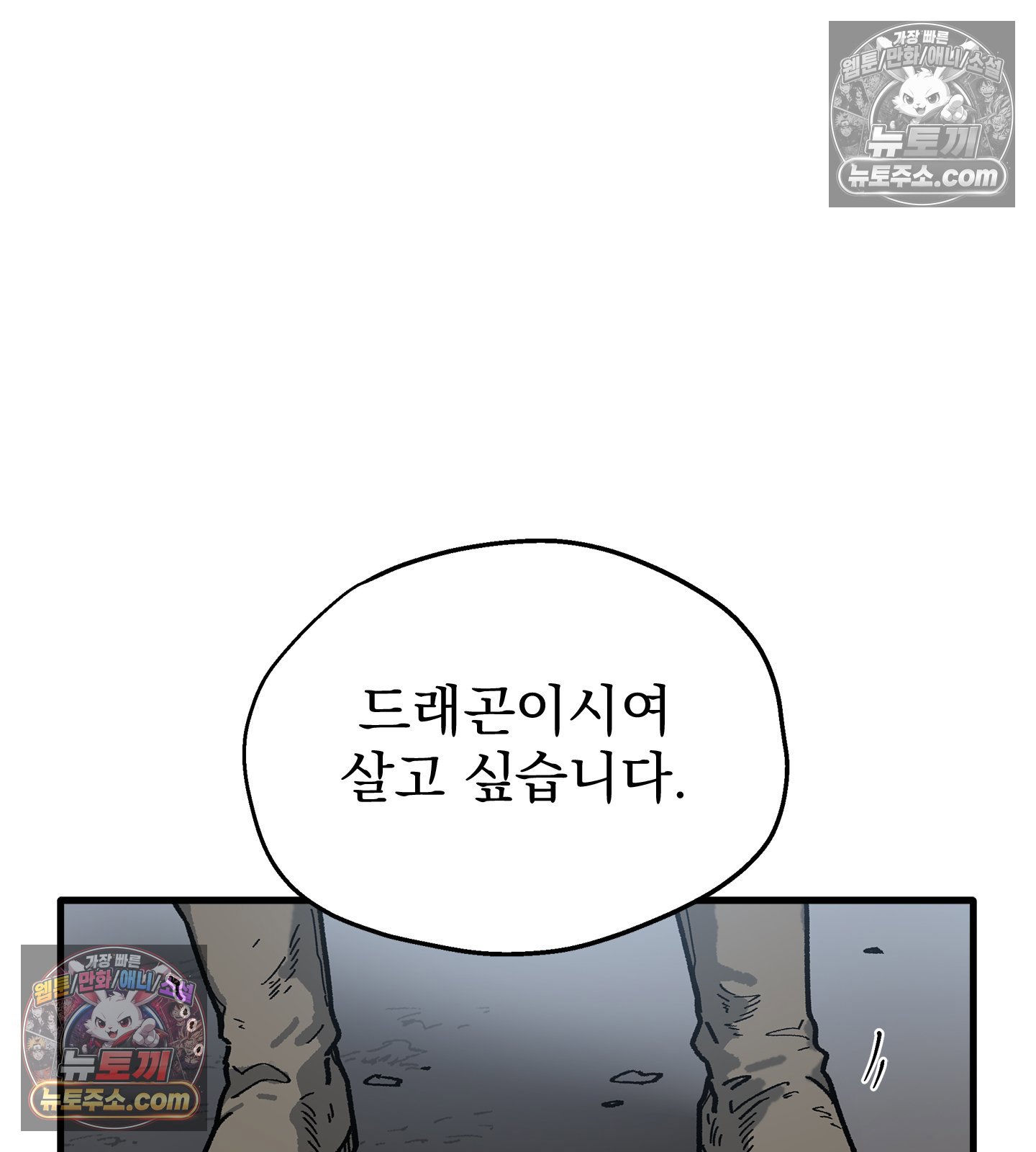 117.jpg