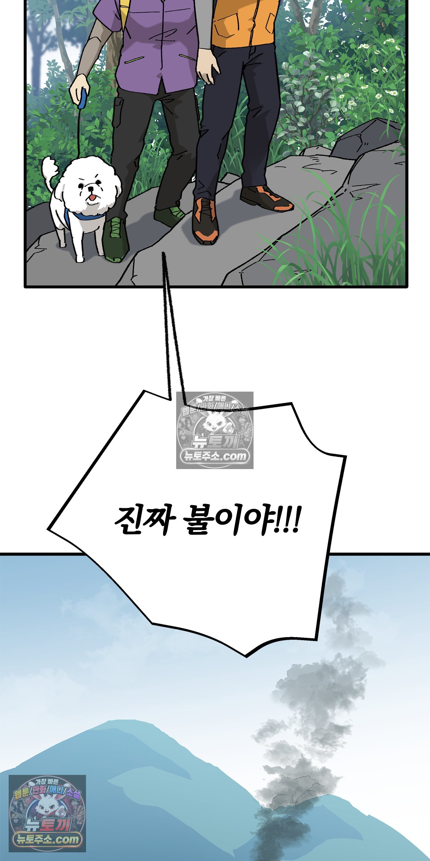 002.jpg