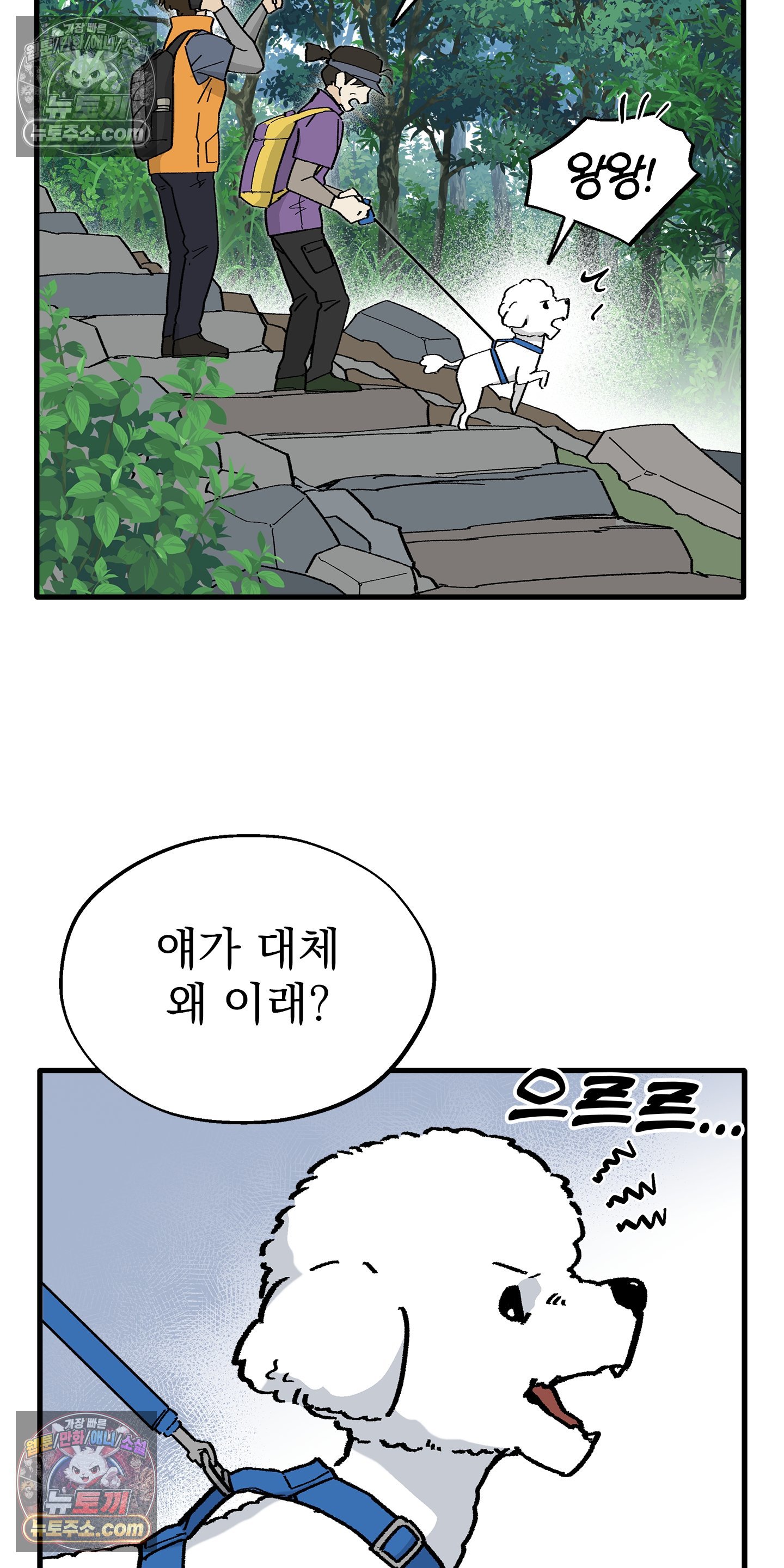 004.jpg