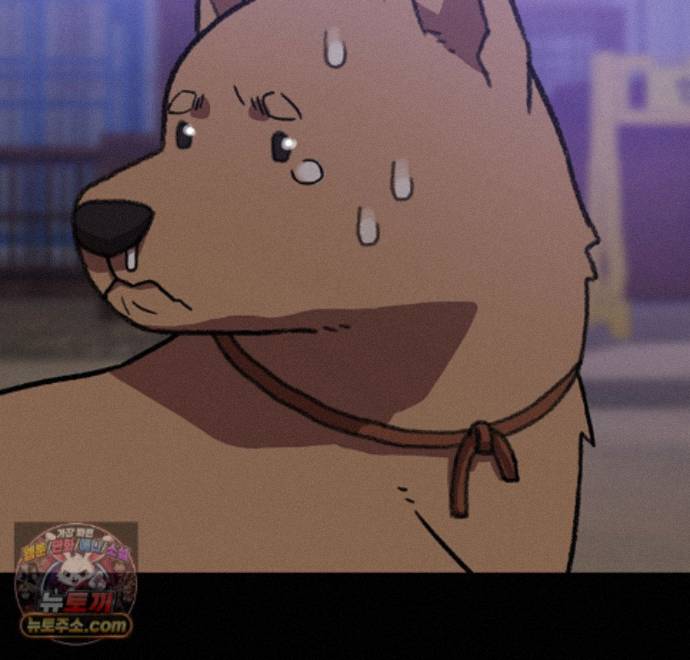 008.jpg
