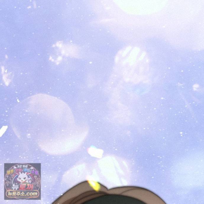 237.jpg