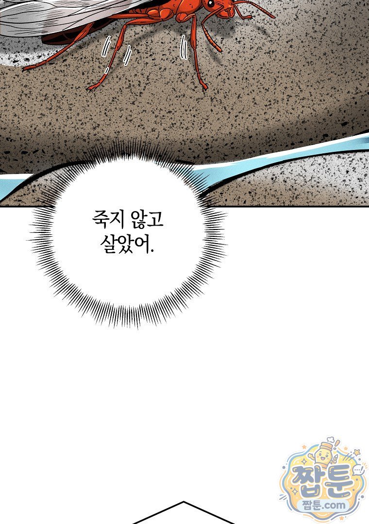 100.jpg
