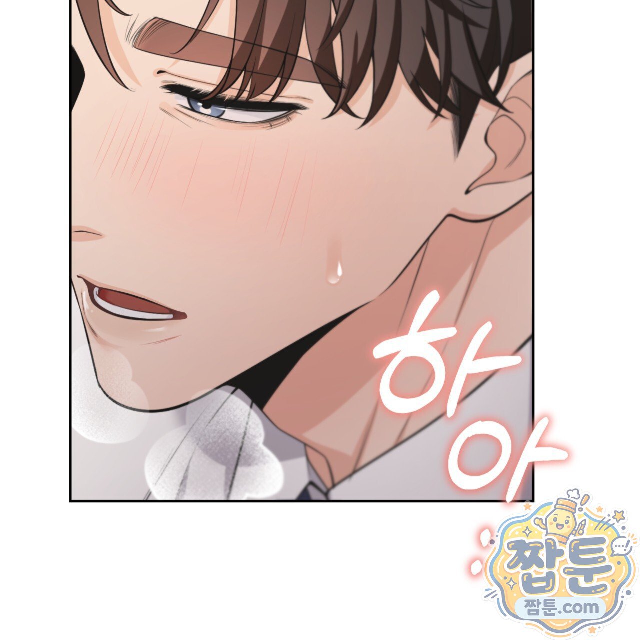 082.jpg