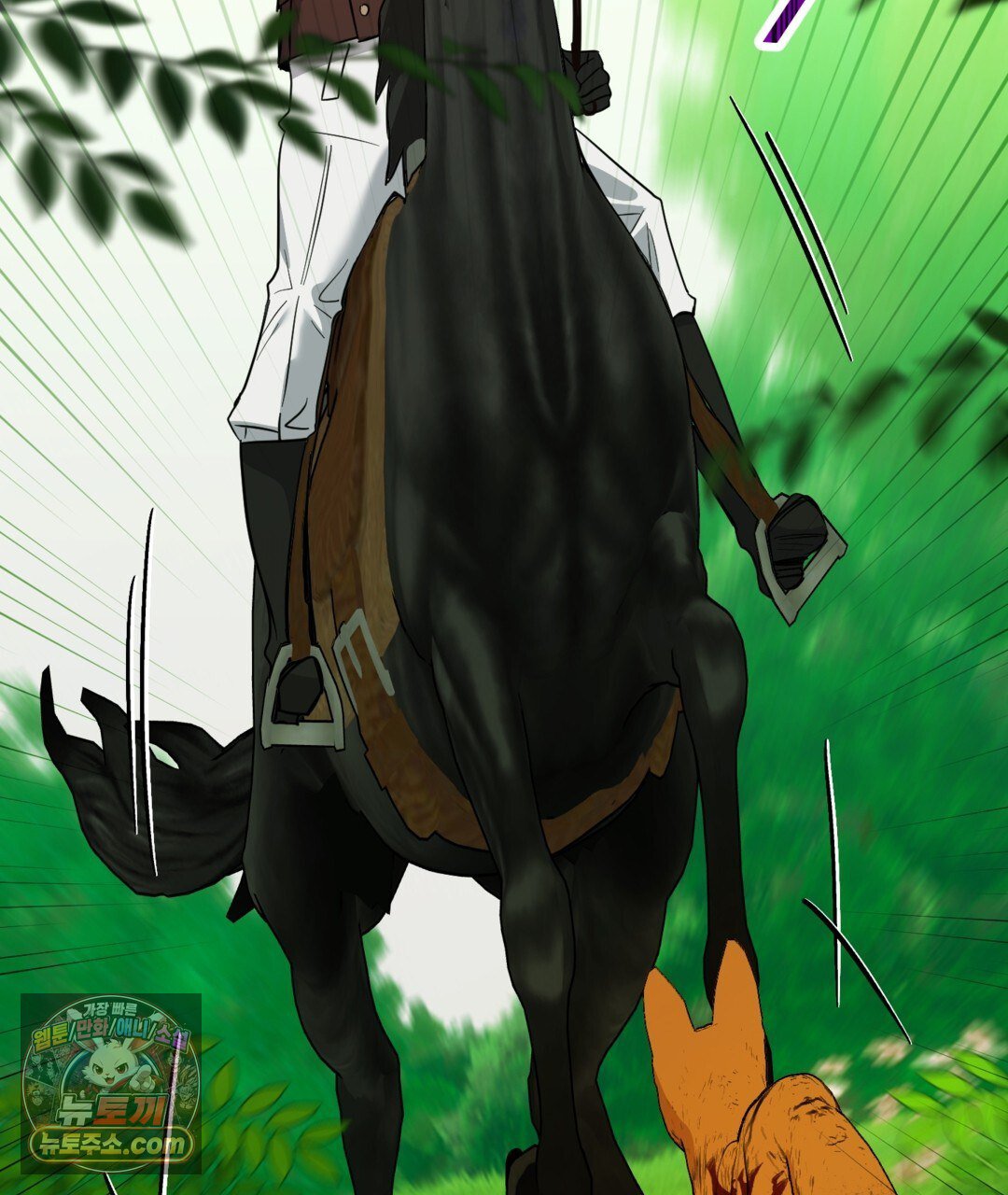 111.jpg