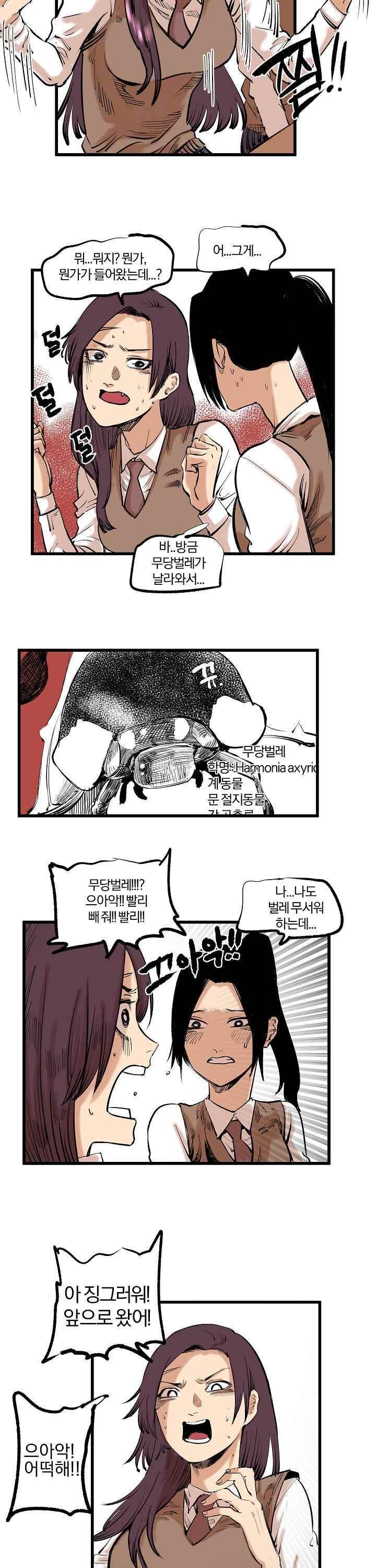 009.jpg