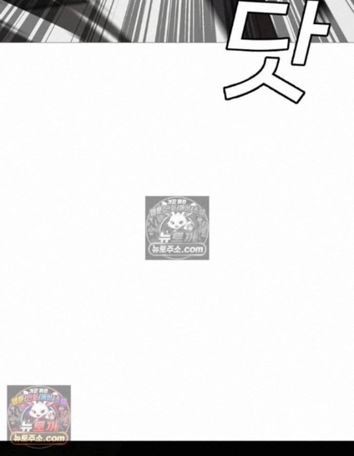 113.jpg