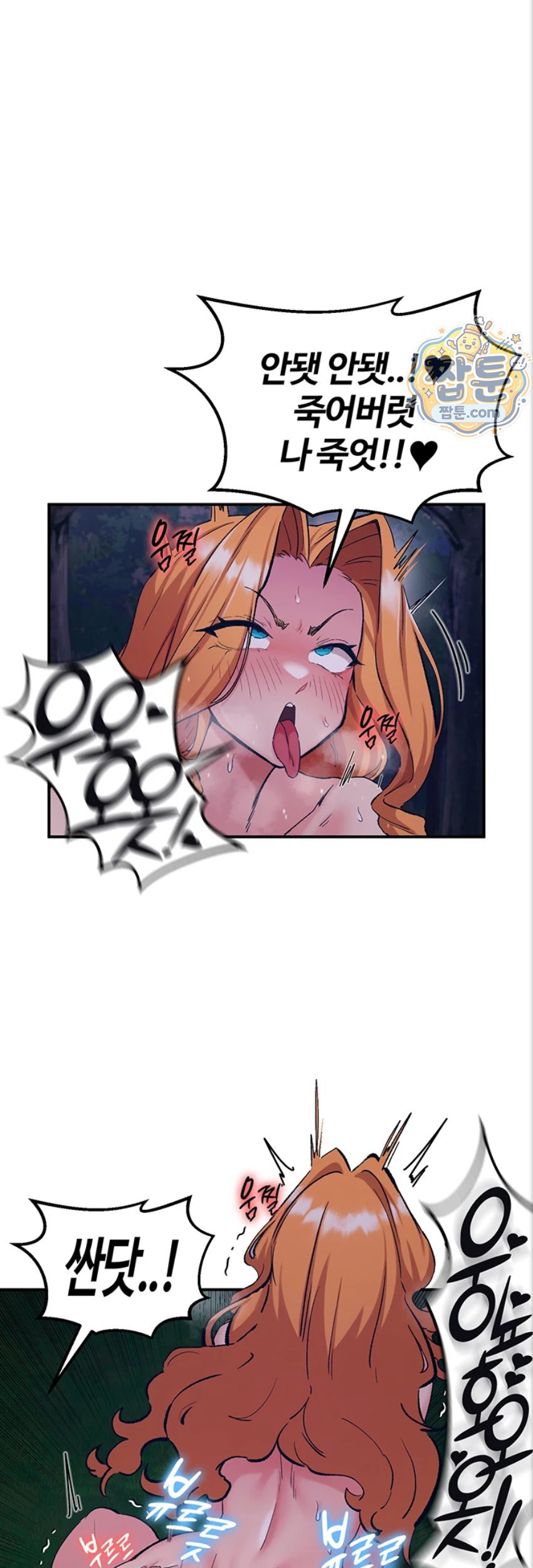 005.jpg