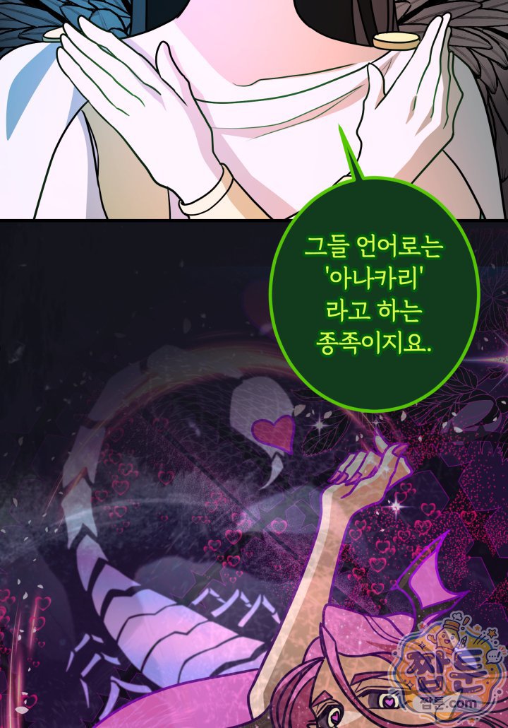 004.jpg
