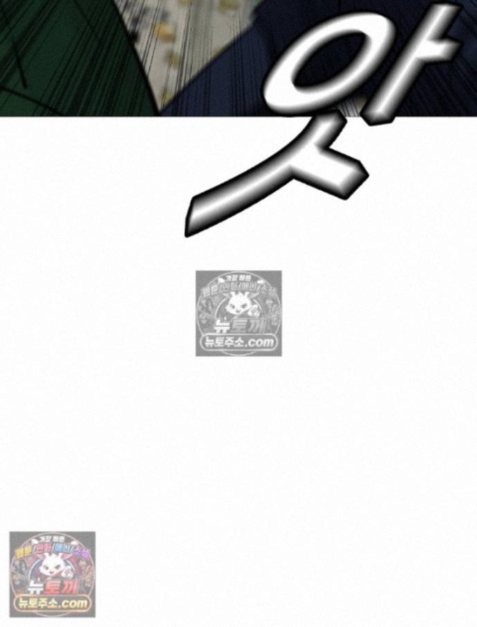 113.jpg