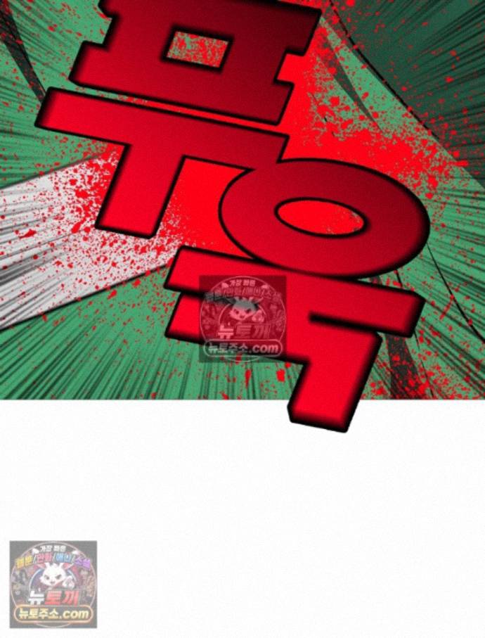 113.jpg