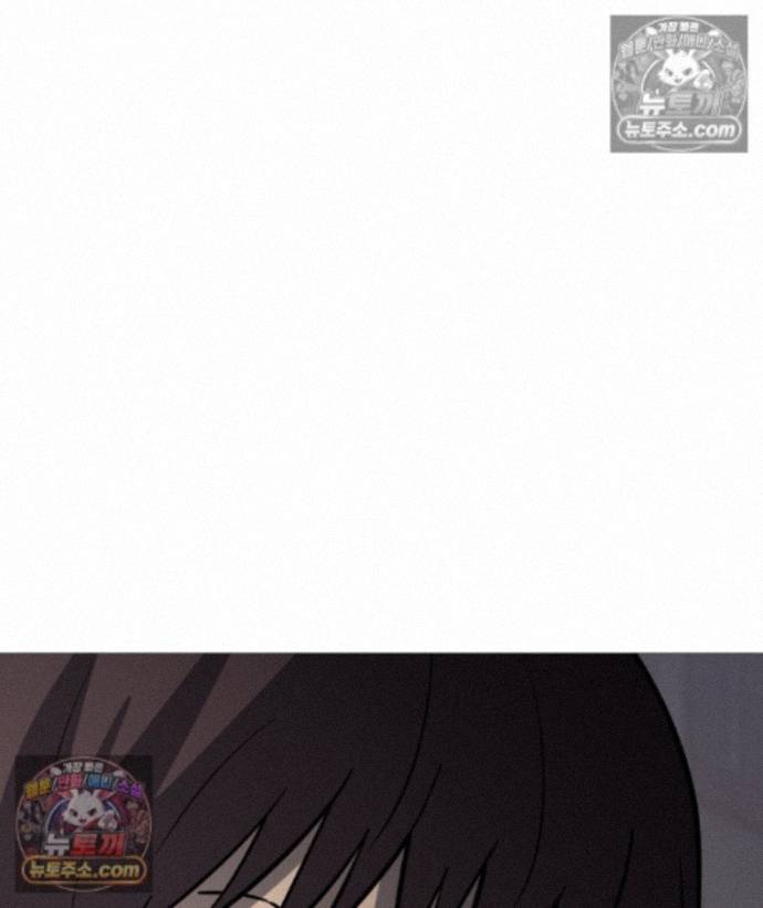 113.jpg