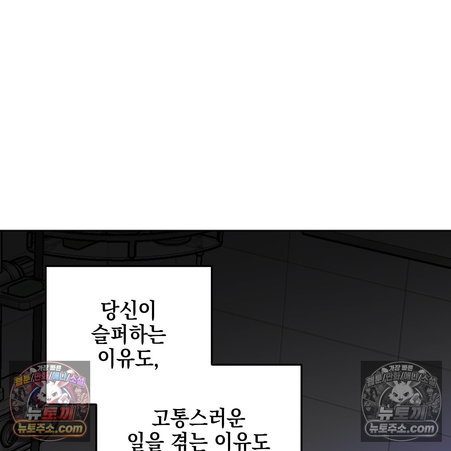 113.jpg