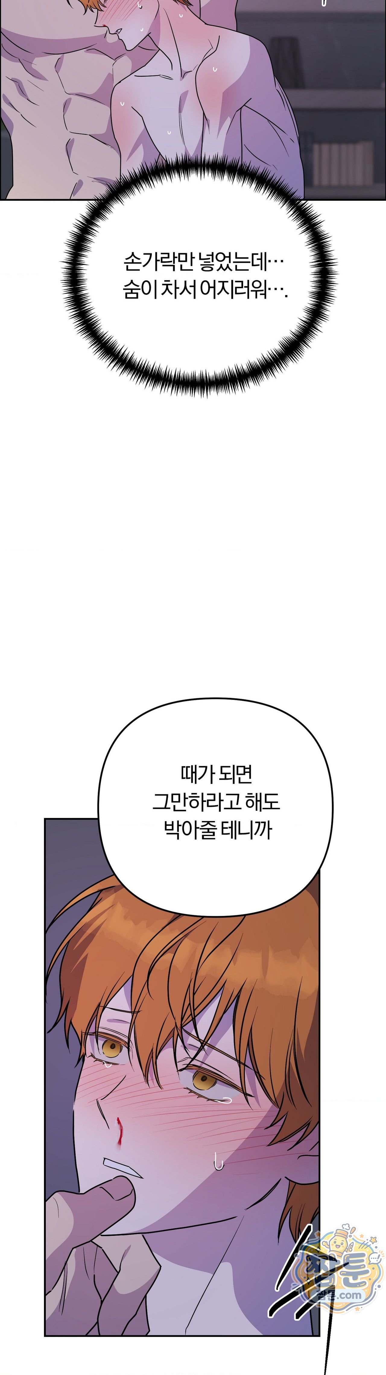 005.jpg