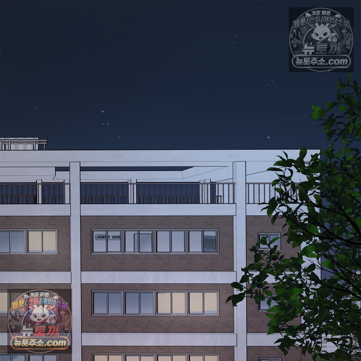 050.jpg