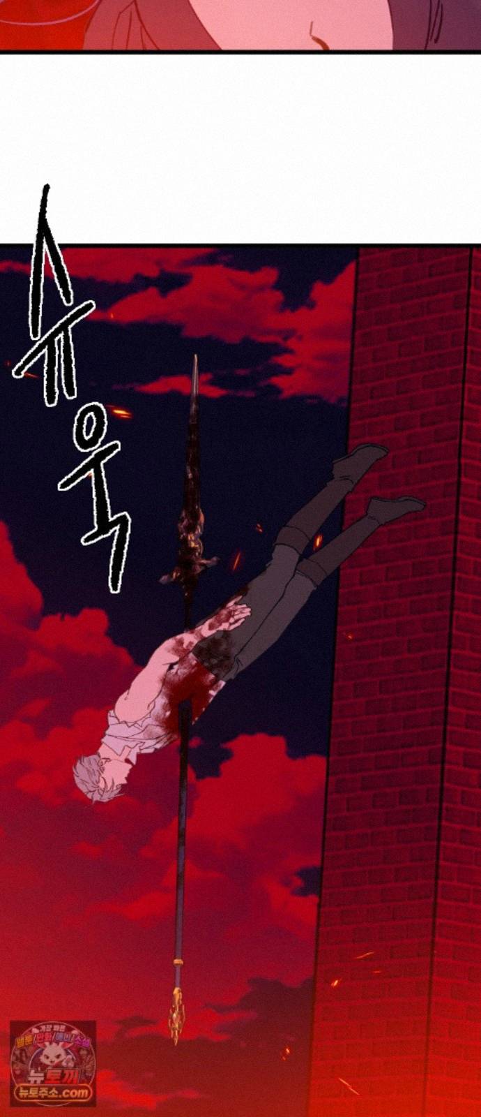 003.jpg