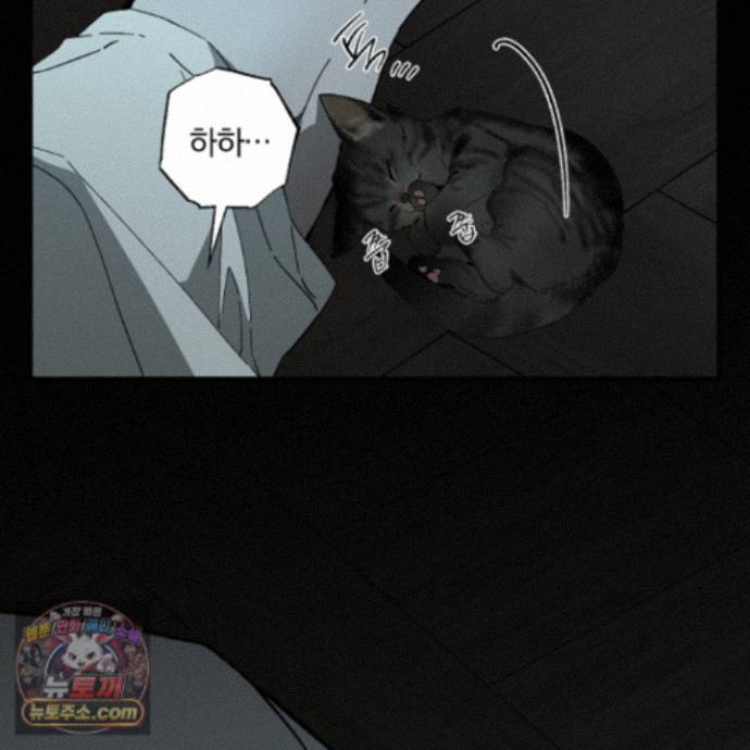 100.jpg