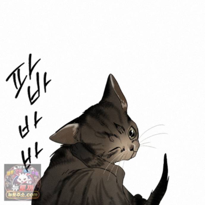 104.jpg