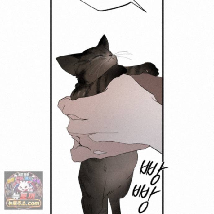 136.jpg