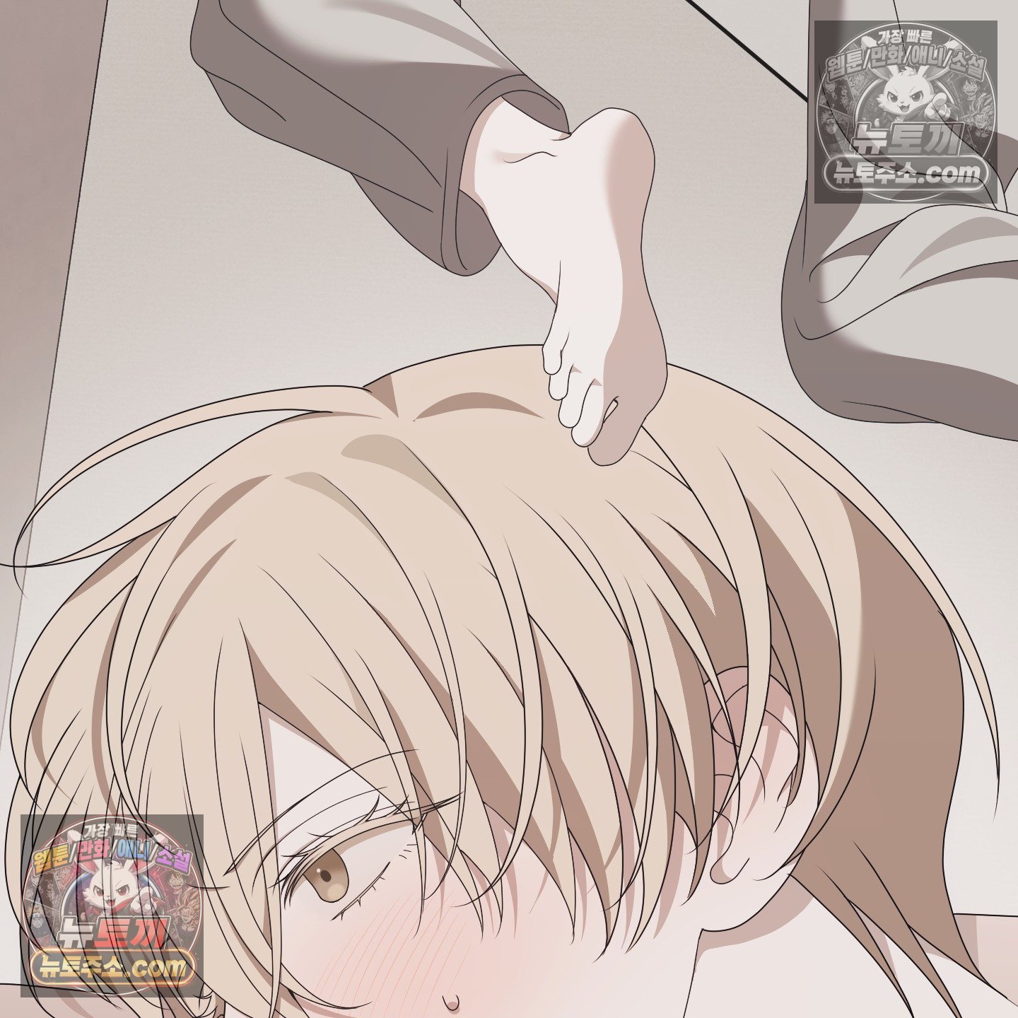 003.jpg