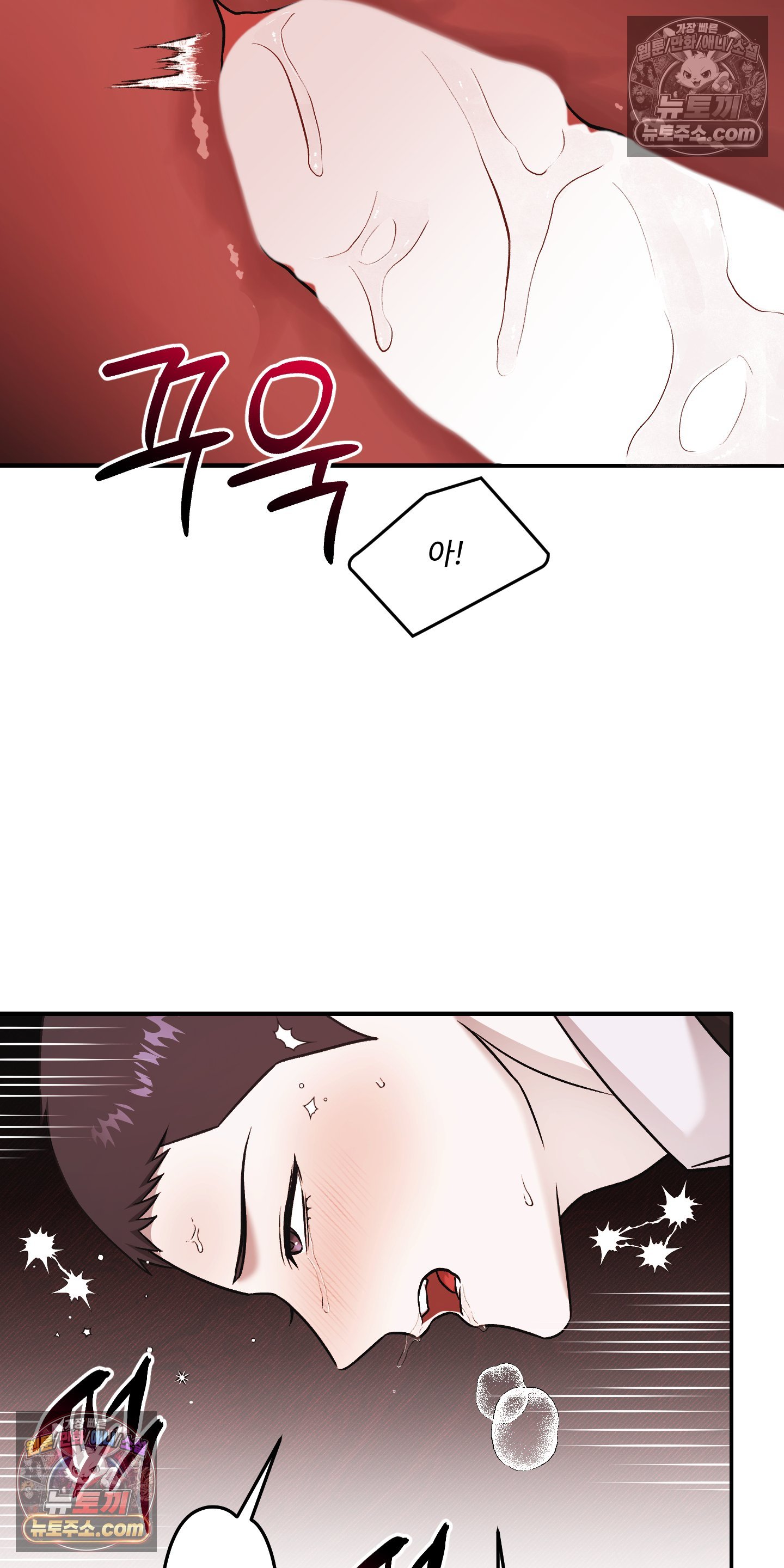 003.jpg