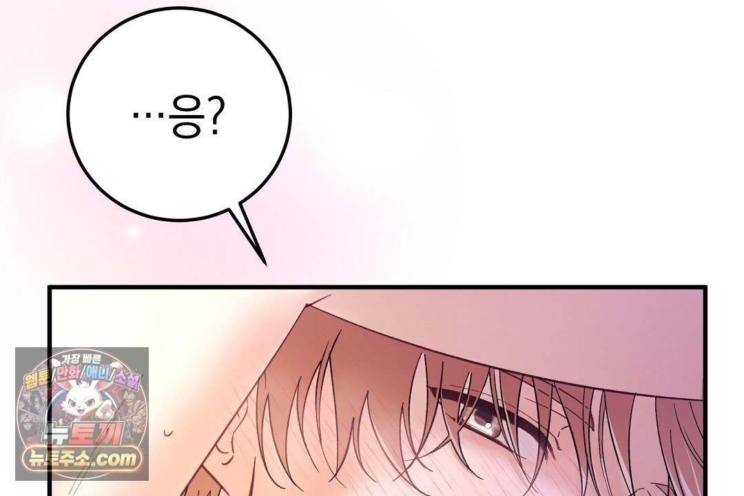 232.jpg