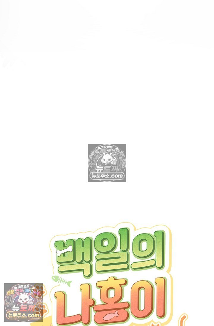 104.jpg