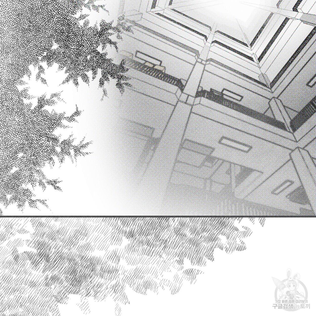 110.jpg