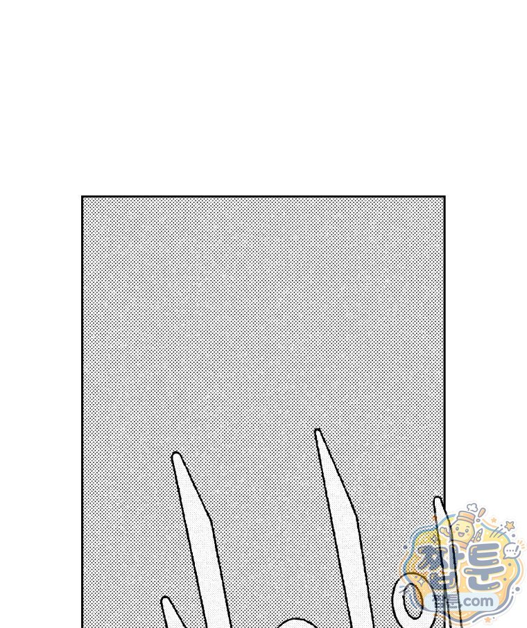 102.jpg
