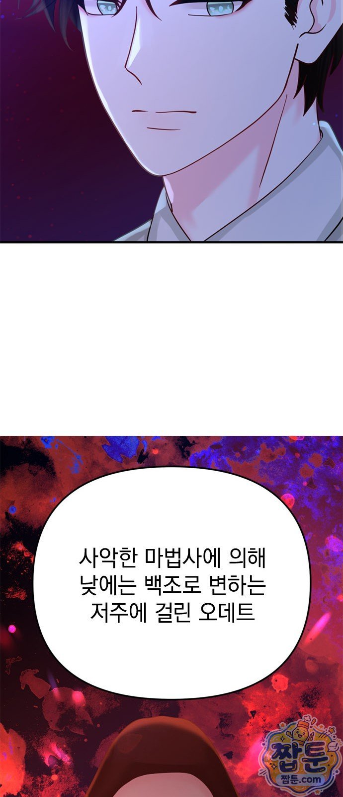 008.jpg