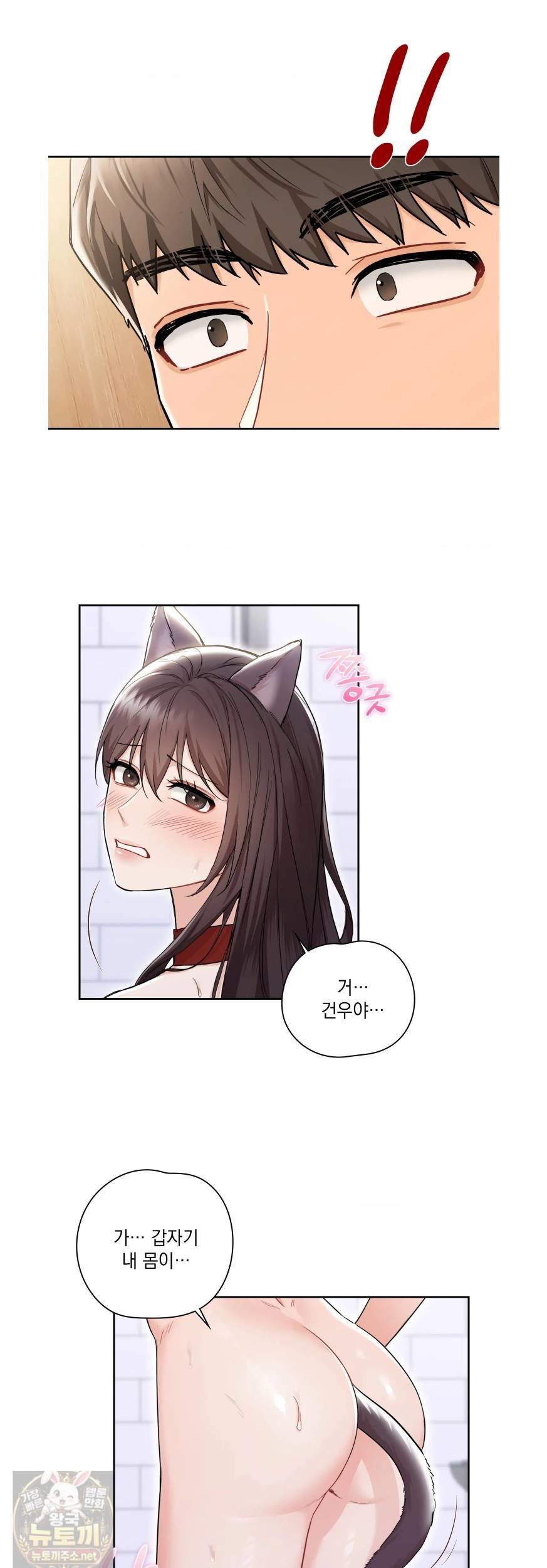 014.jpg