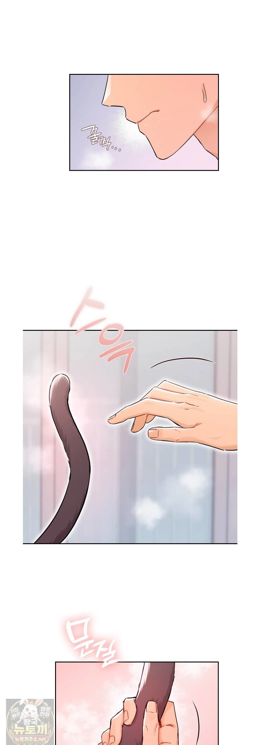 003.jpg