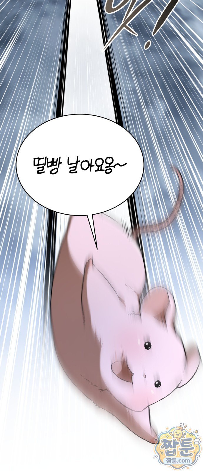 010.jpg