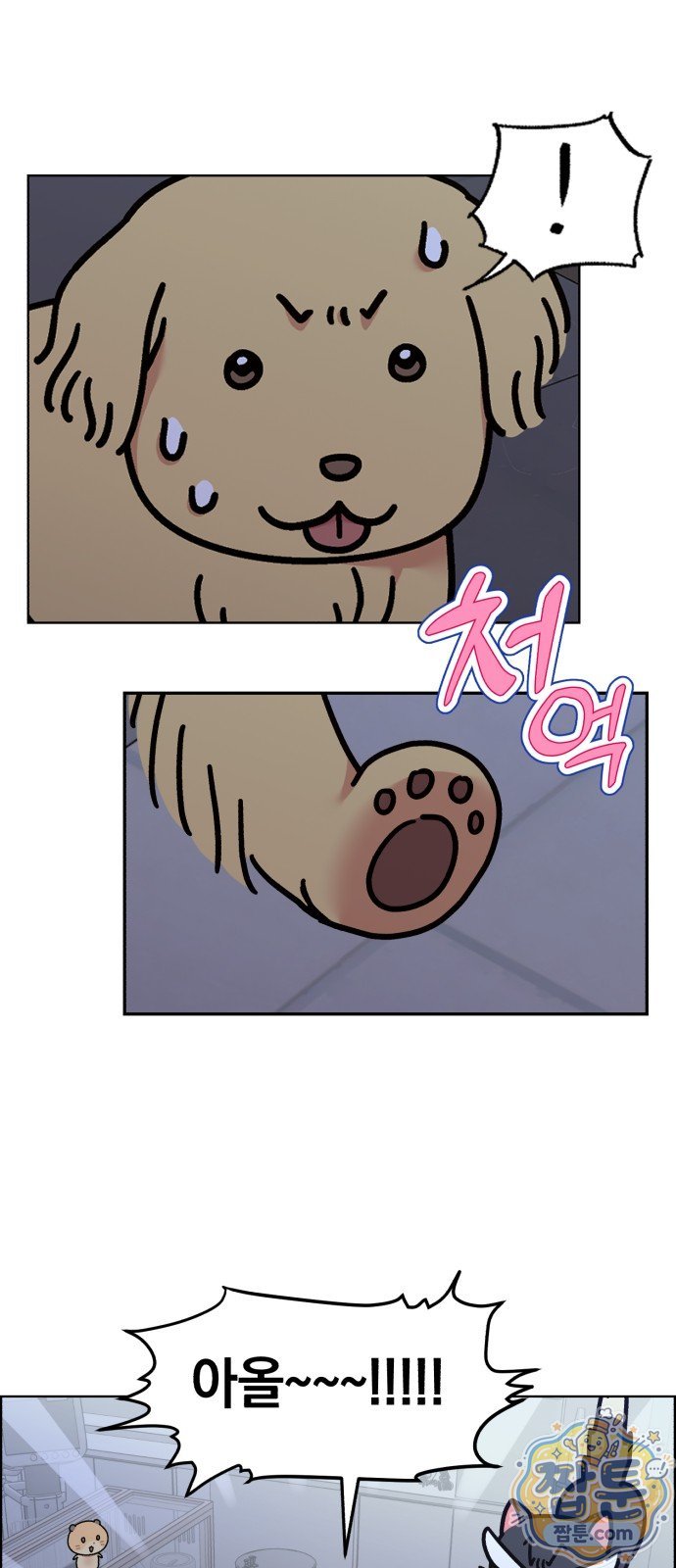 005.jpg