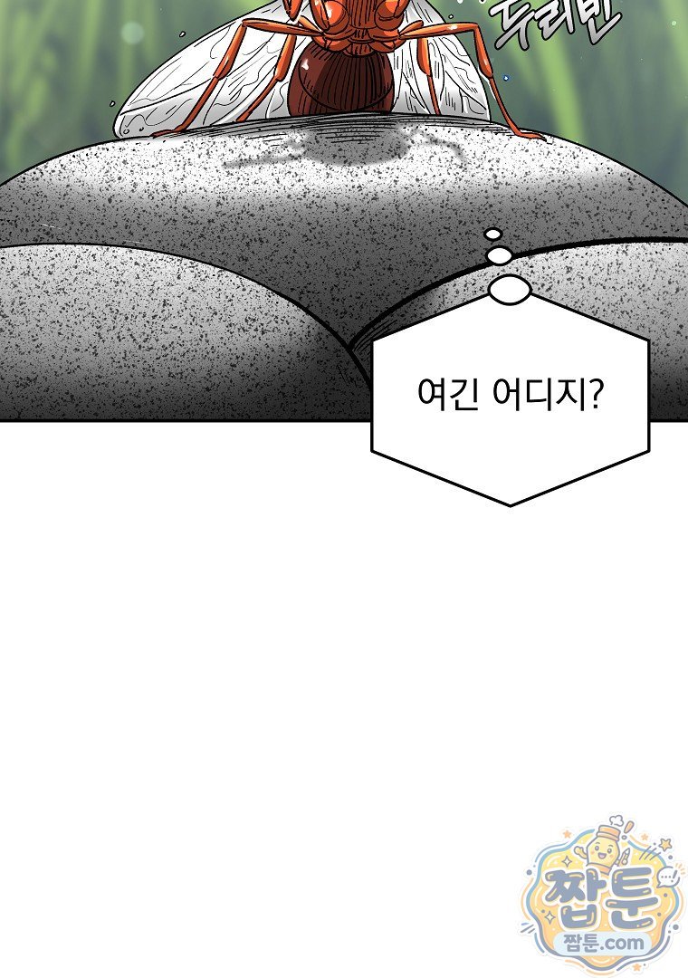 004.jpg