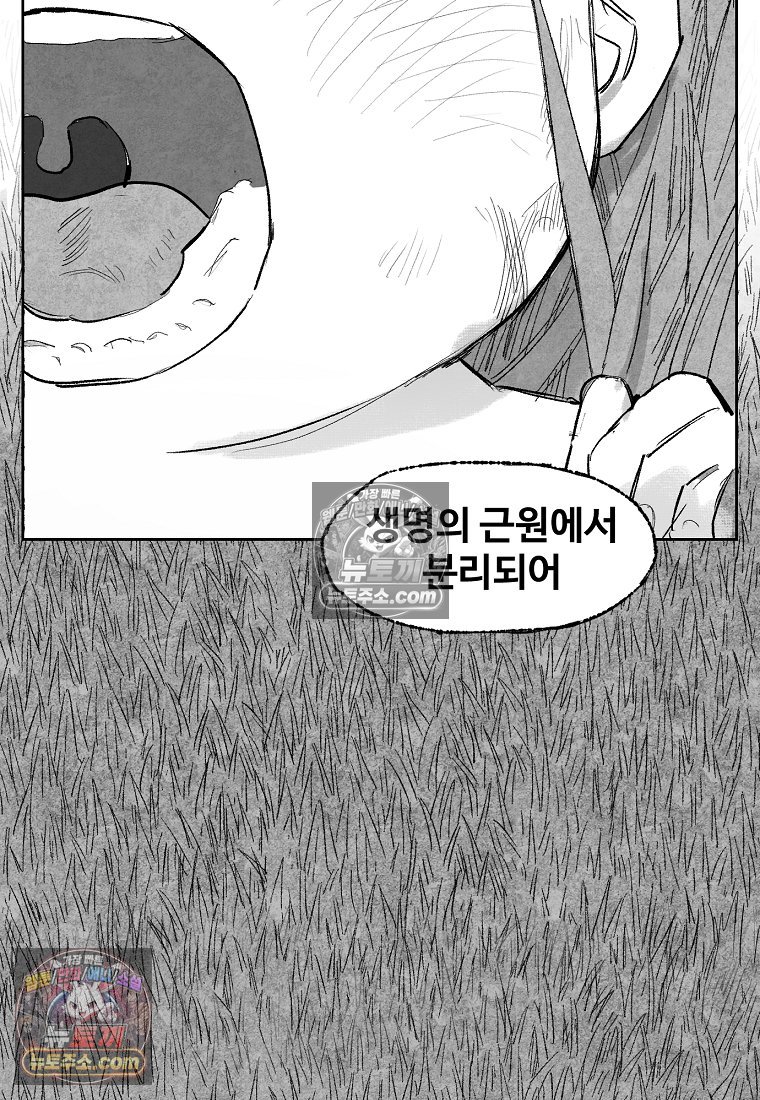 017.jpg