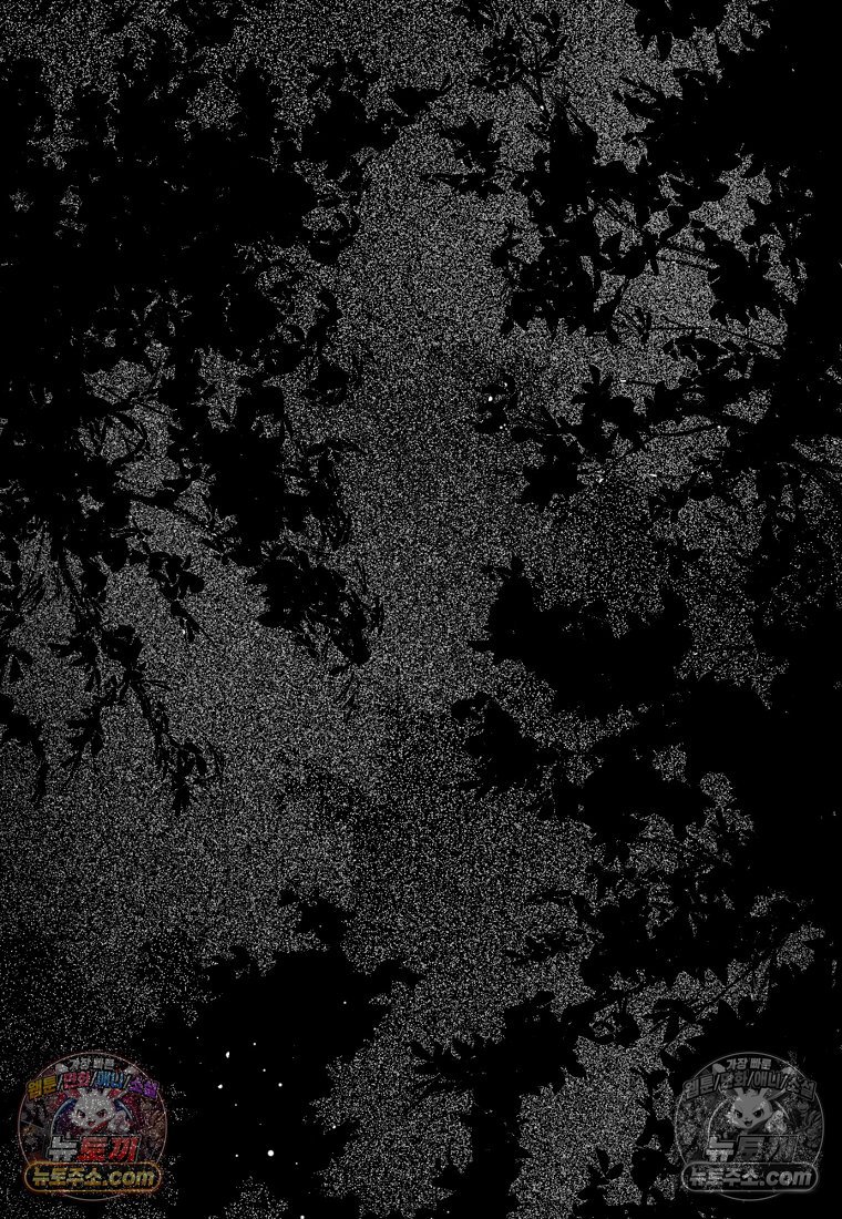 061.jpg