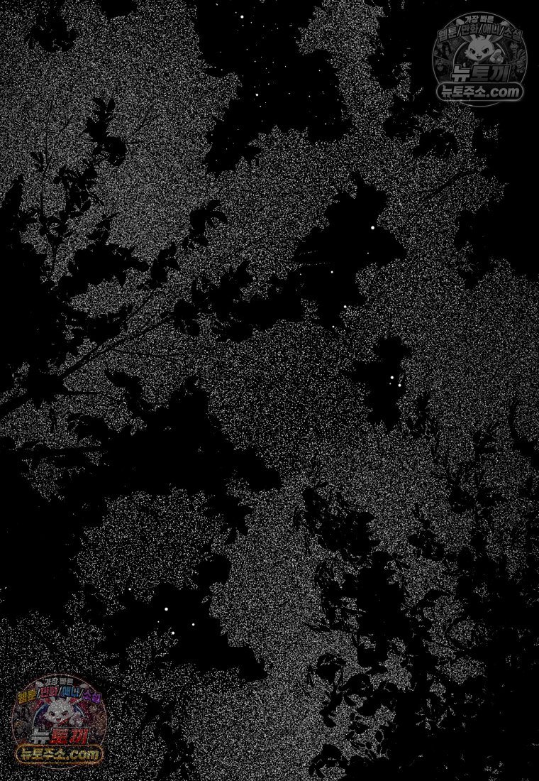062.jpg