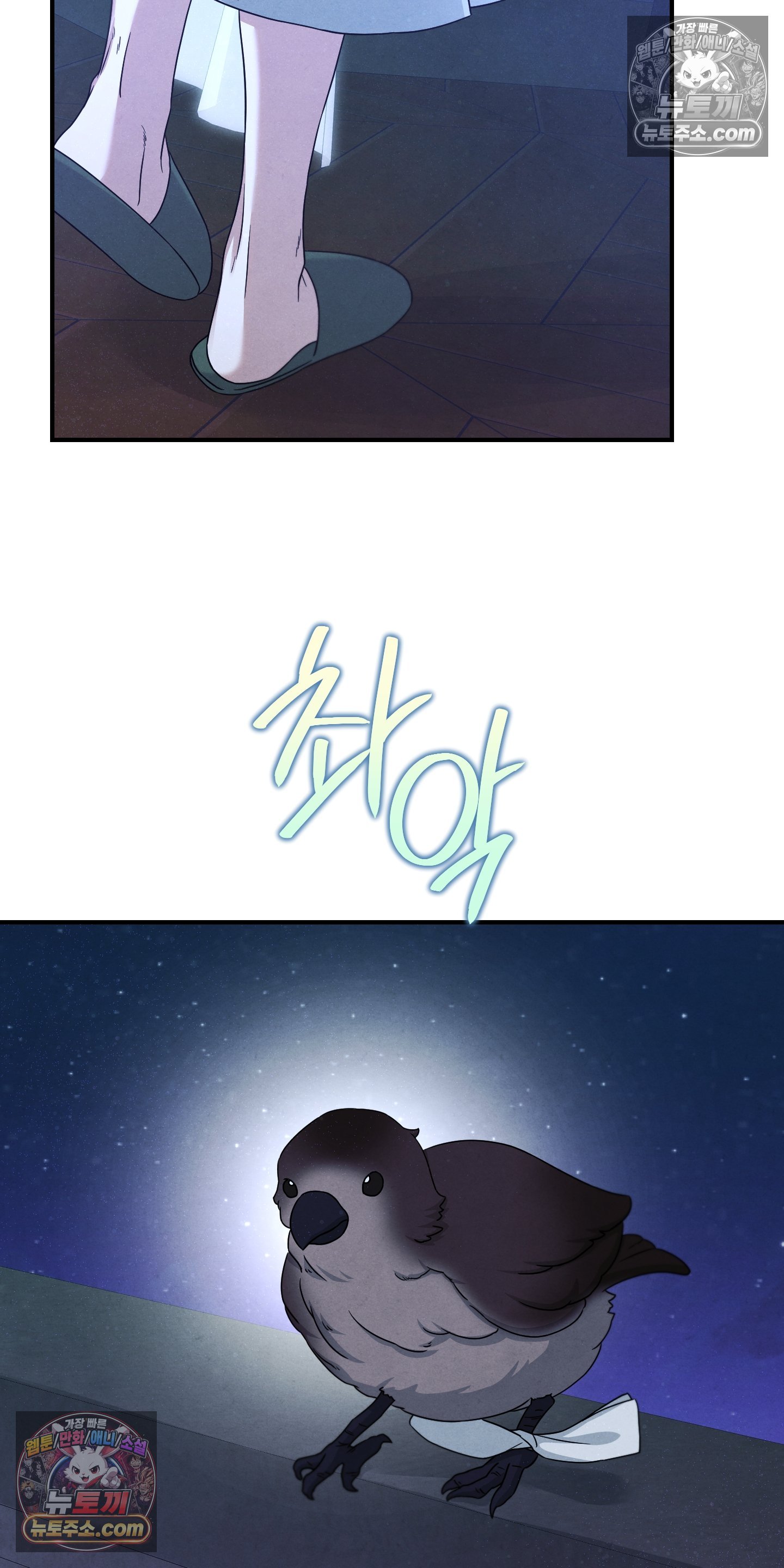 004.jpg