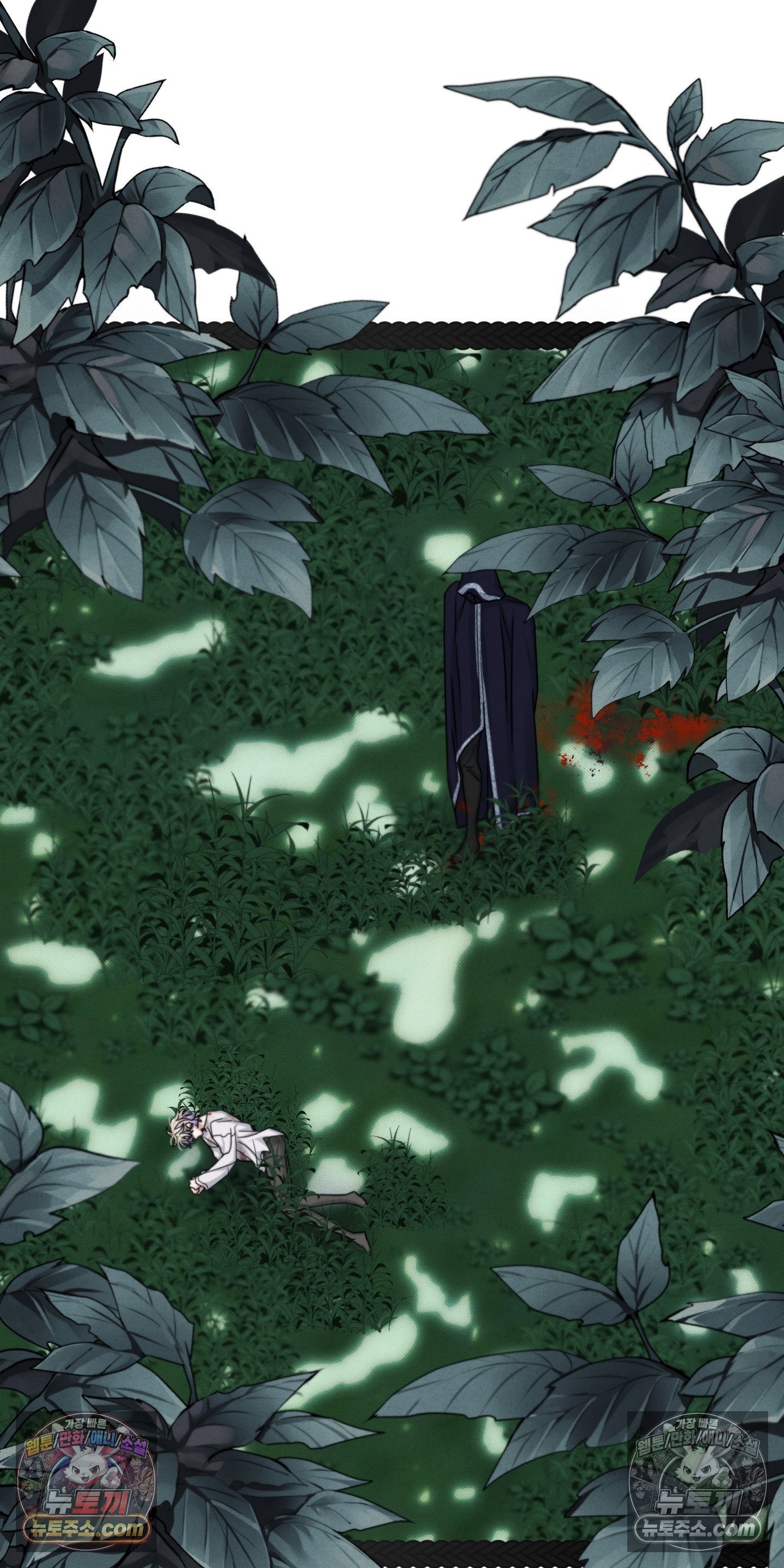 048.jpg