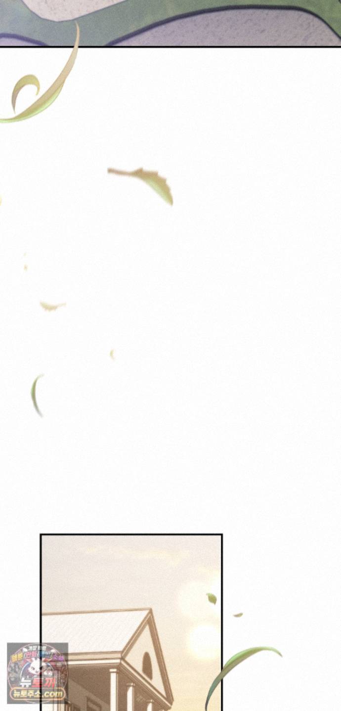 041.jpg