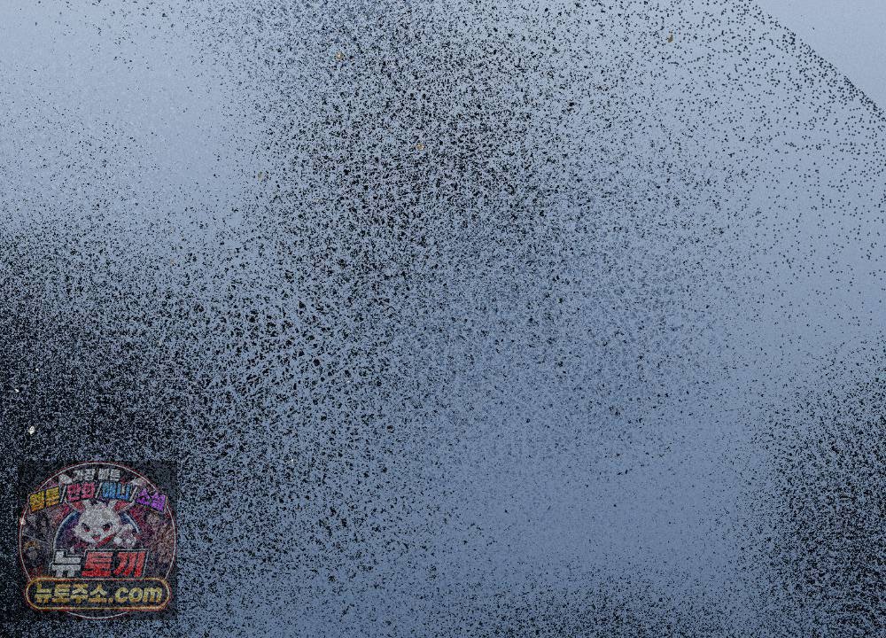 104.jpg