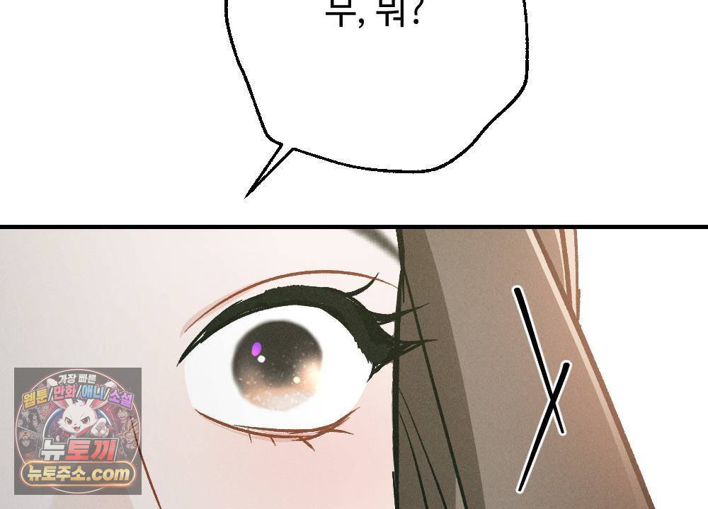 164.jpg